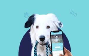 Identifique a raça do seu cão!