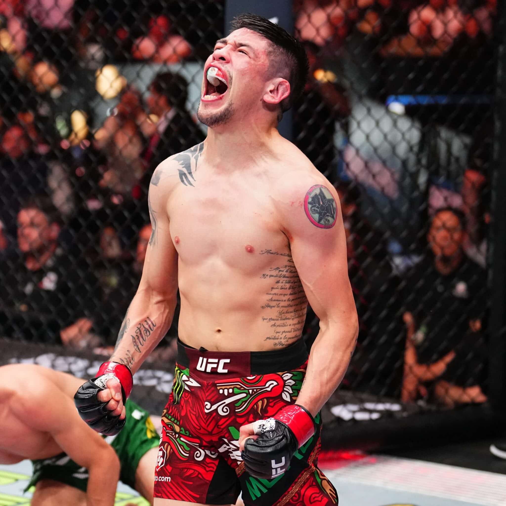 Acompanhe o UFC ao vivo!